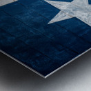 Dont mess with Texas Metal print