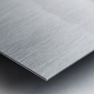 Majesty in Monochrome Metal print