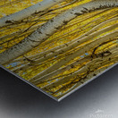 Curves of Nature Metal print