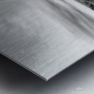 The Wise Wanderer Metal print