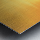 Sunset Stroll Metal print