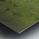 The Wild Chase Metal print