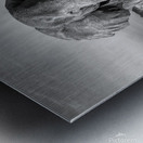 Monarch of the Savannah Metal print