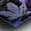 Abstract Acer Leaves in Blue and Purple Metal print