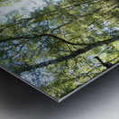 Nature Walk Through The Scottish Highlands  Metal print