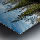 Tamarack Reflection Metal print