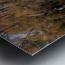 Autumn Glow Metal print