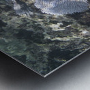 Revolutionary Metal print