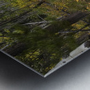 Genetic Metal print