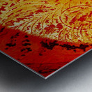 Cercles Metal print