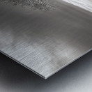 One Lone Cypress  Tree Silhouette Metal print