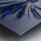 Palm Tree Reflection Metal print