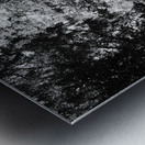 Summers Nature Path in the Scottish Highlands in Black and White Metal print