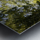 Summers Nature Path Too in the Scottish Highlands Metal print