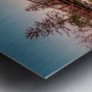 Lehigh Parkway Footbridge Below Metal print