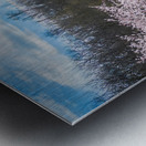 Star Magnolia By the Fish Hatchery Metal print