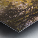Sunlight on Monocacy Park Pathways Metal print