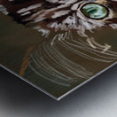 IMG 3285 Metal print