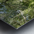 Natures Summer Embrace in the Scottish Highlands Metal print