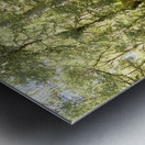 Scottish Highlands Summer Forest Scene Metal print