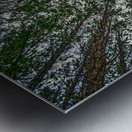 02 Look Up Metal print