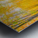 Magical forest path in fall Metal print