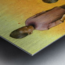 PawelKuczynski35 Metal print
