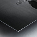 Golden Gate Bridge San Francisco Metal print