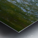 Bear Water Assault Metal print