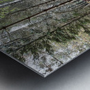 Scenes from the Trail- Winter Nature Walk Metal print