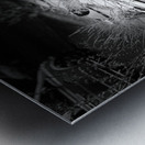 Everyday Lifes Moments- High and Dry in Black and White Metal print