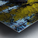 Natures Arrow Metal print