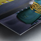 Skate Metal print