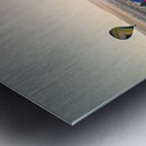 Desert Hot Air Balloon Festival At Sunrise Metal print