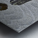 Meditation Metal print