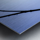 Bird Silhouette Light Blue Metal print