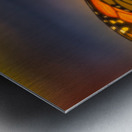 Monarch Soft Landing Zinnia Metal print