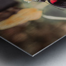 Scarlet Mormon Butterfly Metal print