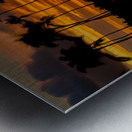 Why Koloa  Metal print