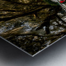 Tomotley   Plantation Christmas  Metal print