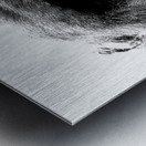 Gaze of Bahati B&W Metal print