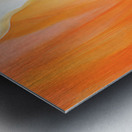 Orange Lily Metal print