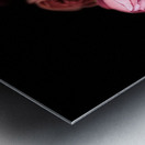 Portrait of Plants- Delicate Fabric Roses Metal print