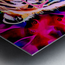 Tiger à Lunette master Impression metal