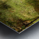 Scenes from the Trail  Nature s Pallette in the S Metal print