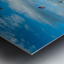 Seagull Flies Near Watch Hill Lighthouse in Rhode Island Metal print