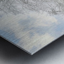 Wrapped in a Blanket of Ice Metal print