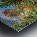 A Dirt Road Less Travelled Metal print