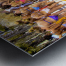 March Break at Panama City Beach Metal print