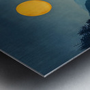 Moonlit Valley Metal print
